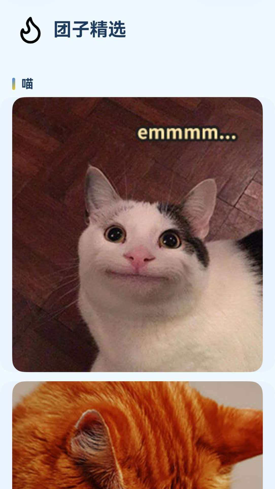 团子表情